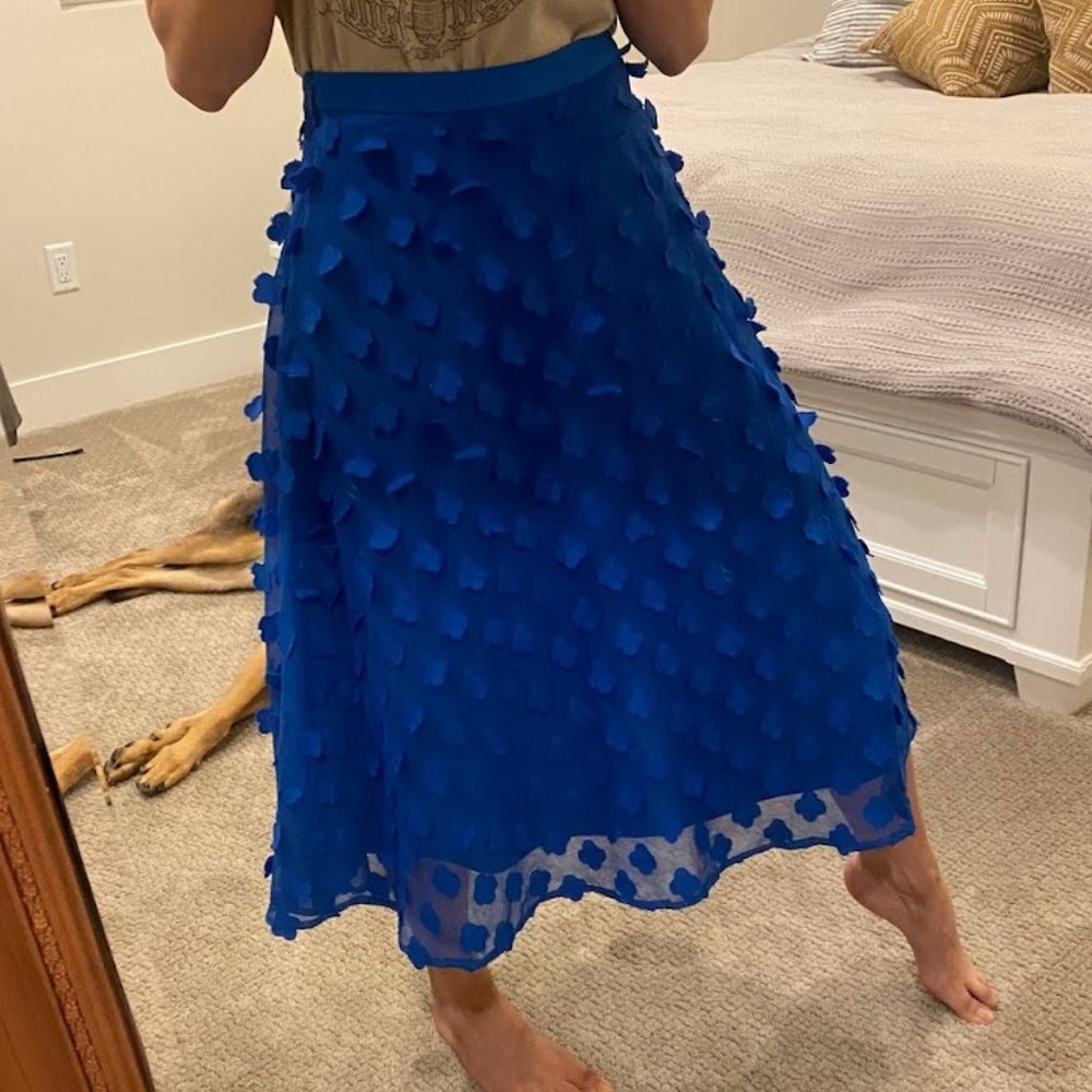 Anthropologie Tulle Midi Skirt